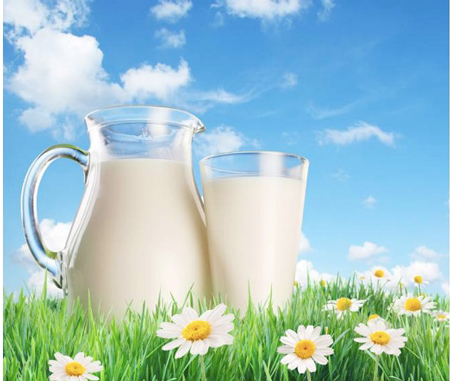 Sữa có đủ ảnh hưởng rõ rệt đối với tốc độ hấp thụ thuốc trong cơ thể, làm cho độ đậm đặc của thuốc trong huyết dịch thấp hơn so với người uống thuốc không uống sữa trong thời gian nhất định.